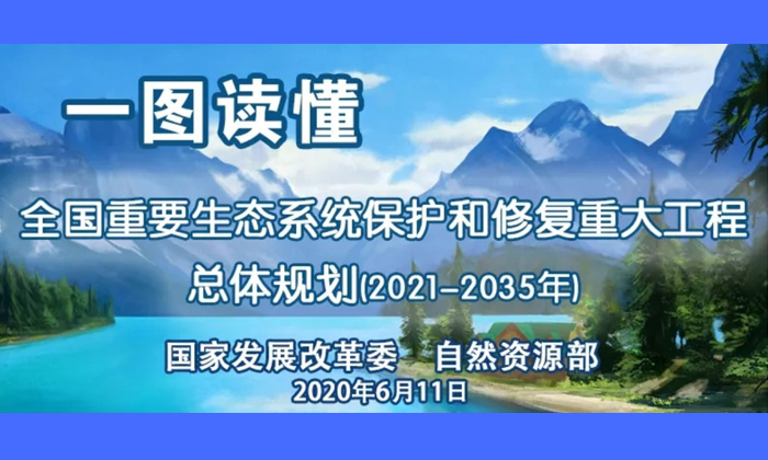 绿凯
