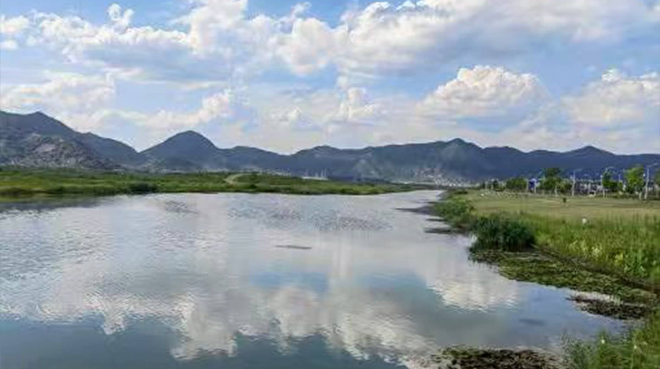 绿凯