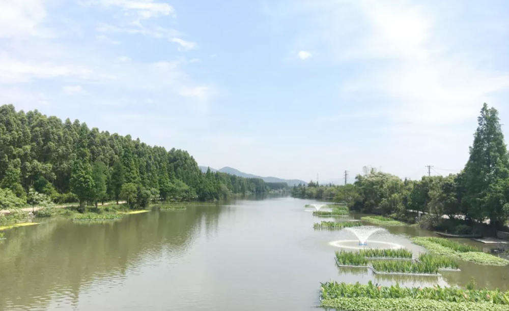 绿凯