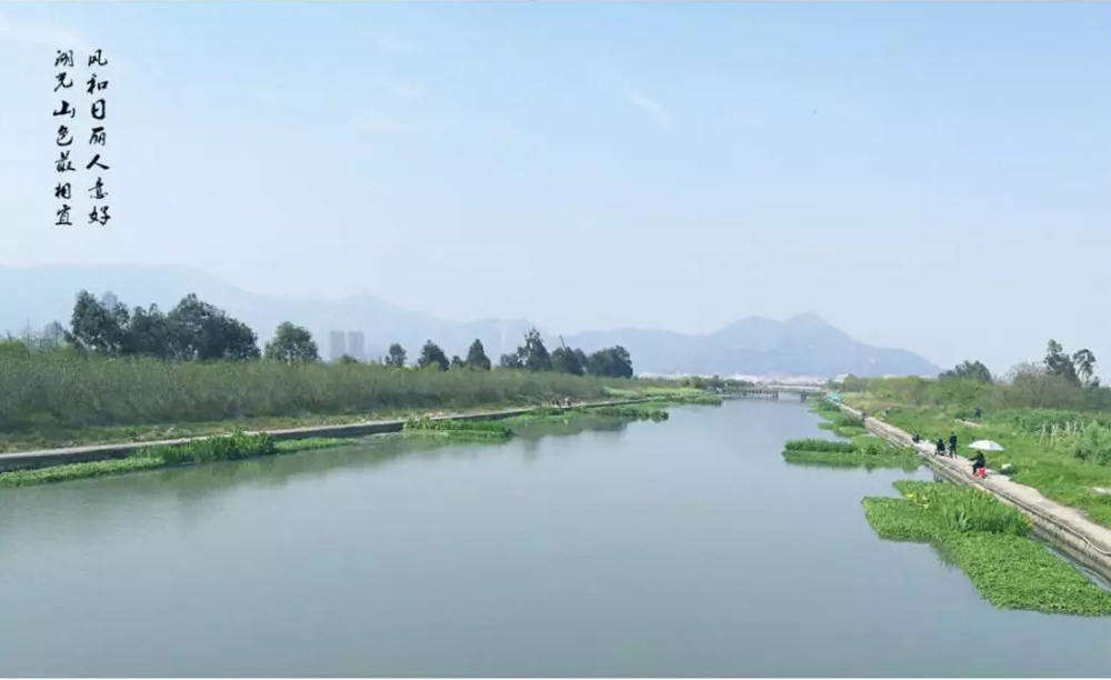 绿凯