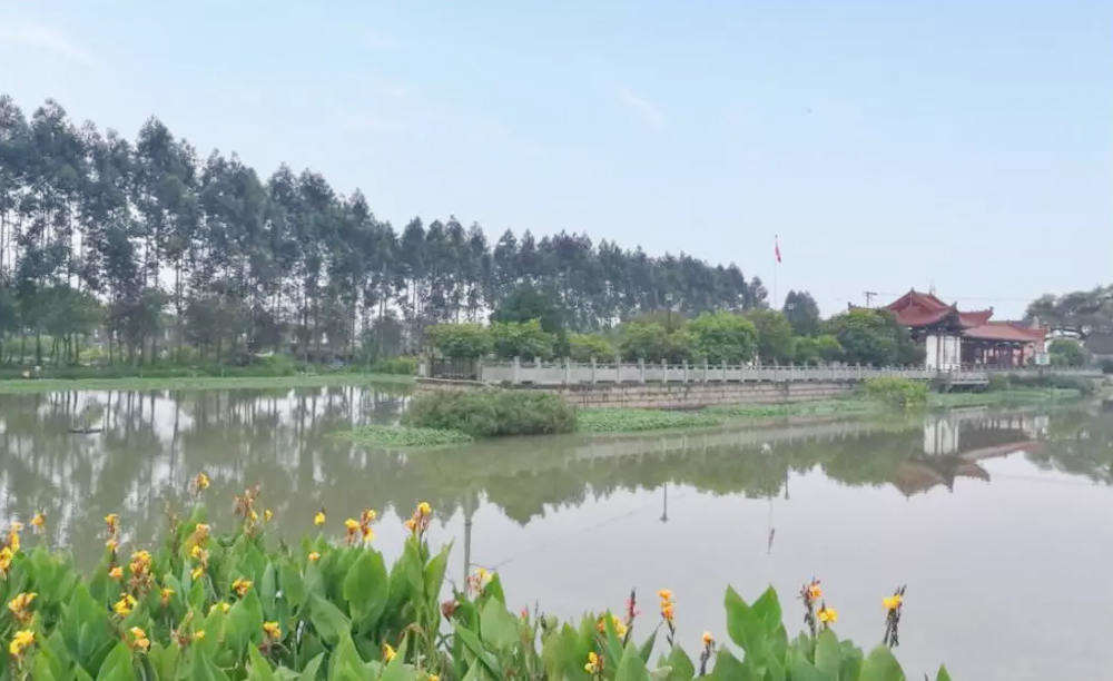 绿凯